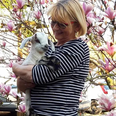 Farma Michalowa Zagroda