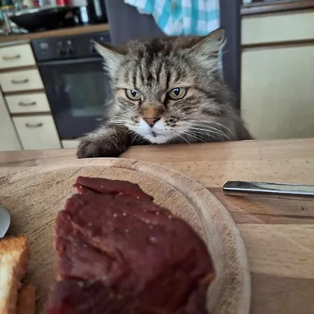 Farma Michalowa Zagroda