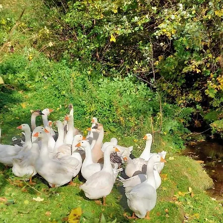 Michalowa Zagroda Фермерский дом