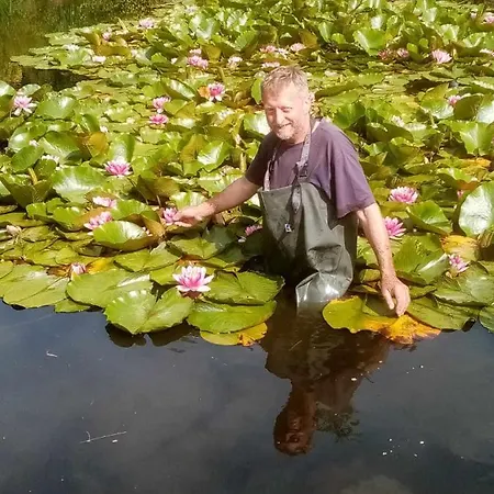 Michalowa Zagroda Пеховице