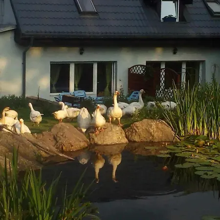 Michalowa Zagroda Фермерский дом *