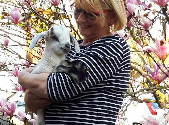 ファームステイ Michalowa Zagroda