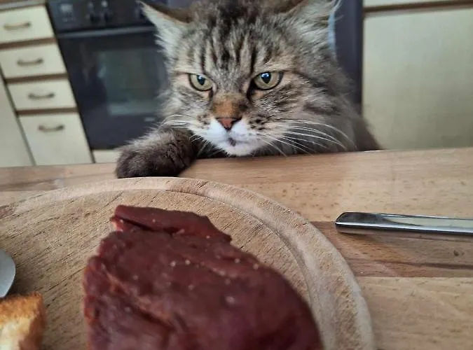 ファームステイ Michalowa Zagroda