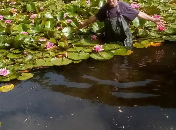 ファームステイ Michalowa Zagroda ピエホビツェ