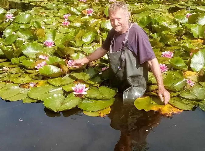 Michalowa Zagroda Piechowice (Karkonosze)