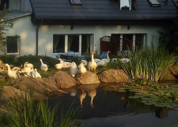 Michalowa Zagroda Farm stay *